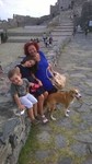 alidgulmin_0
