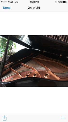 Grand Piano Morgenstern