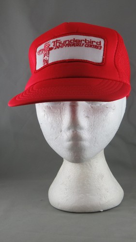 Vintage Patched Trucker Hat - Thunderbird Do It Yourself Centres - Snapback