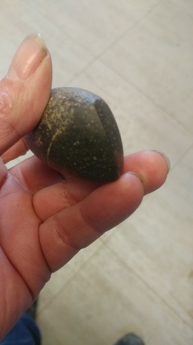 3 3/8ths Cass County East Texas Celt/Adze Nice Grade