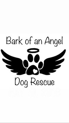Bark of an Angel Dog Rescue