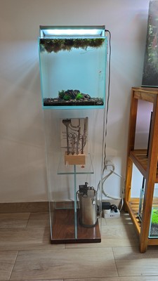 ADA LAB ウッドブロック LIMITED PRODUCTS – ADA LAB | Aqua Design Amano Laboratory