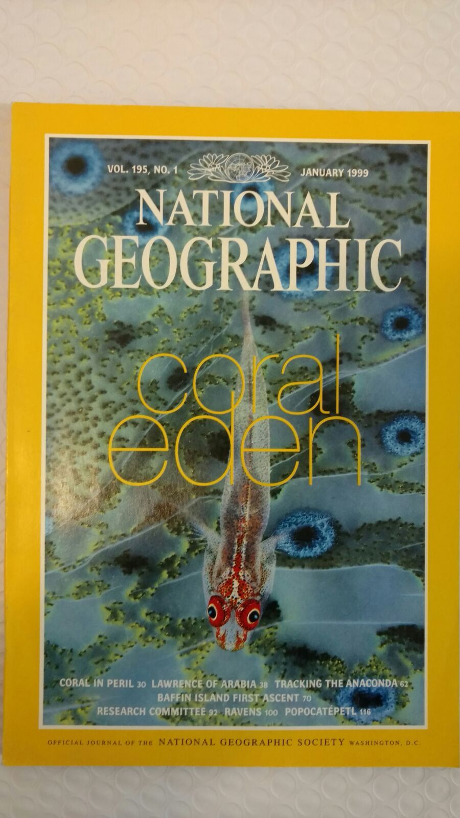 National Geographic Magazine, January 1999 | eBay