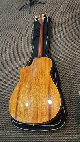 Fender Vic Bailey Acoustic Electric Bass Guitar With Gig Bag!!