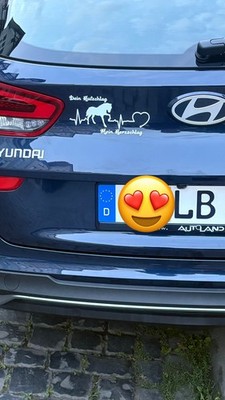 Personalisiert Aufkleber Blau - Für Helm, Motorrad, Auto, Boot, Selbstklebend, PVC, Verschiedene Größen