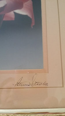 Patricia Stanton Framed & Matted Original Photograph Signed on Mat