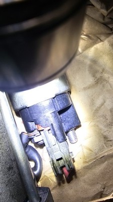 Fotos del artículo de un comprador verificado