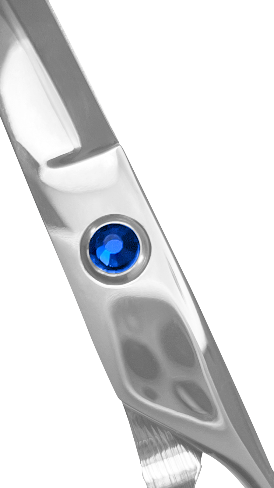 PROFESSIONAL 6" HAIR CUTTING SCISSORS