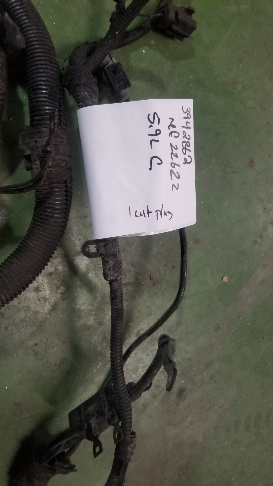 3942862 Harness 1998 24 Valve Dodge Ram Cummins Diesel 5.9L - Picture 6 of 12