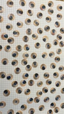 Fotos del artículo de un comprador verificado