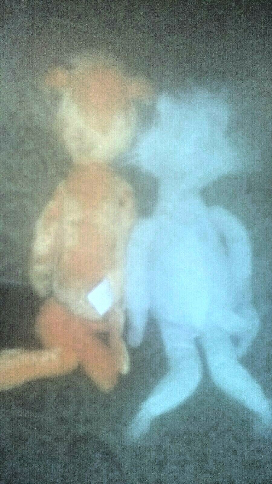 Dr. Seuss, If I ran the zoo and The big foot orange animal. Kohl's care.