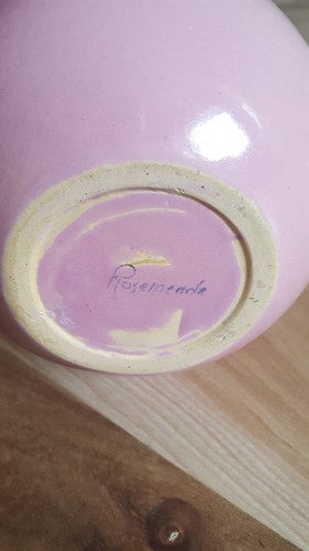 ROSEMEADE North Dakota 5