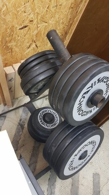   TechnoGym Gewichte gummierte Scheiben 1,25/2,5/5/10/20 kg 50mm