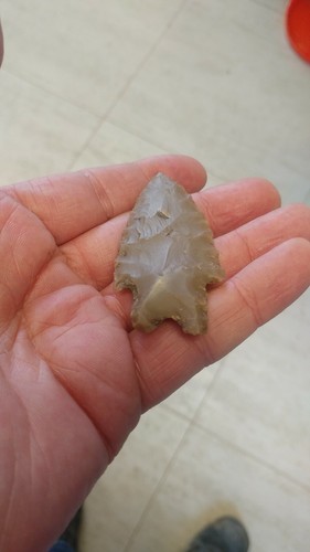 2 3/4 Early Perd Gower/Jetta Arrowhead Collins Site