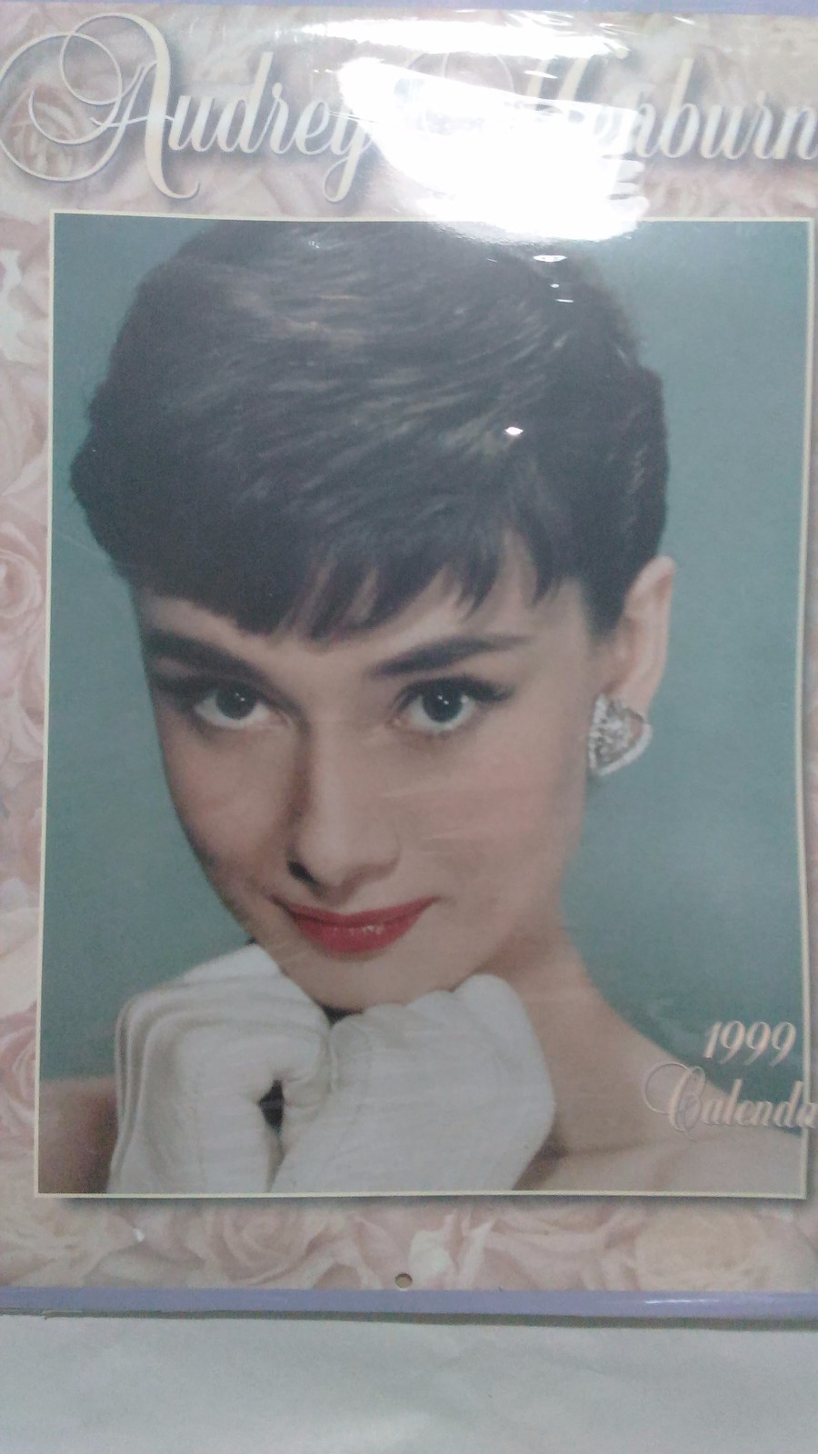 Audrey Hepburn 1999 calendar sealed