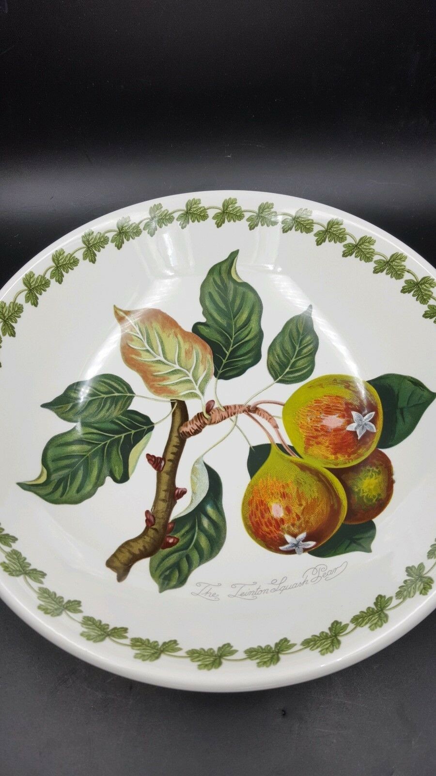 Portmeirion Pomoma Teinton Sqaush Pear 10 1/4