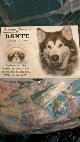 Item photo(s) from verified buyer