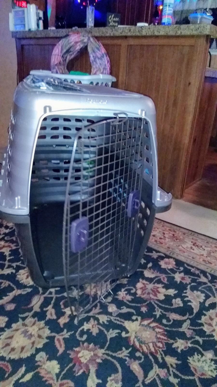 XLarge Petmate Navigator Kennel for Pets 70 to 90lb. Two toned color