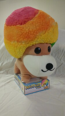 Afro-Ken, a dog with a rainbow-colored afro, is a happy dog that does not speak.