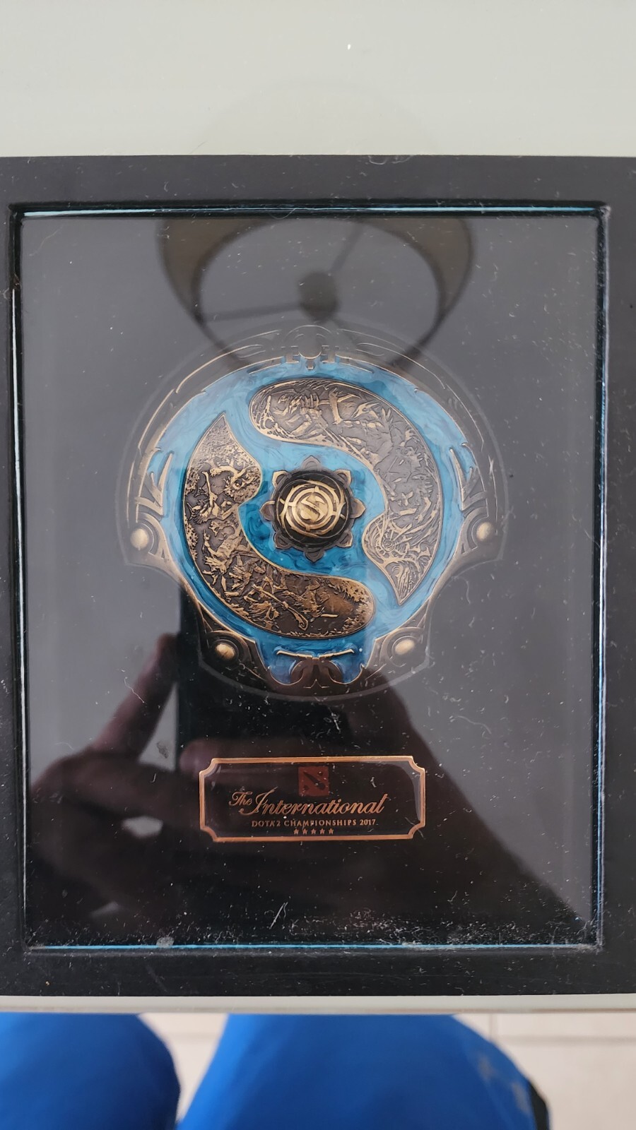 その他 Dota2 aegis 2022 The newest Collector's Aegis of Champions finally arrived
