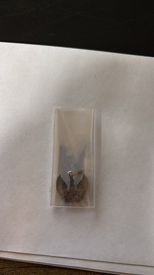 Item photo(s) from verified buyer