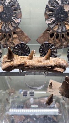 Objectfoto('s) van geverifieerde koper