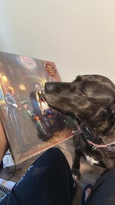 Item photo(s) from verified buyer