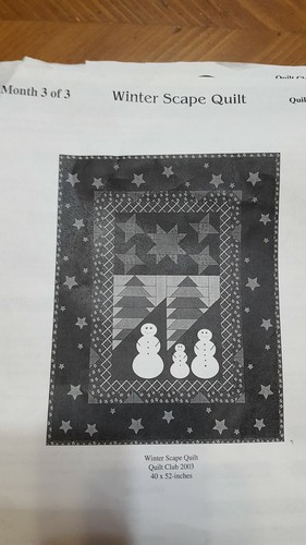Thimbleberries Quilt Club Project 2003 With All Fabrics Included