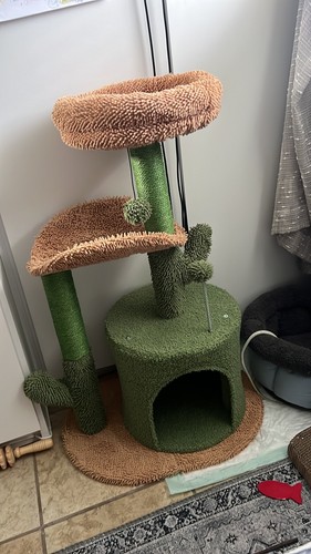 Fotos del artículo de un comprador verificado