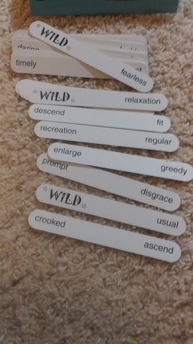 Lingui Systems PLIX Antonyms & Synonyms Level I & II  Speech Therapy Game Tubes