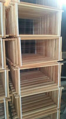 100 Rähmchen, Zander , Hoffmann, geöst, gedrahtet, premium Qualität