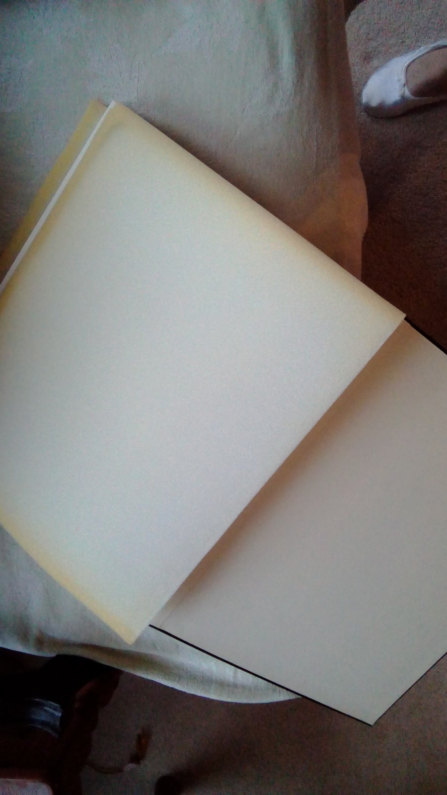 Large Leather Embossed Album Pictures Scrape Book