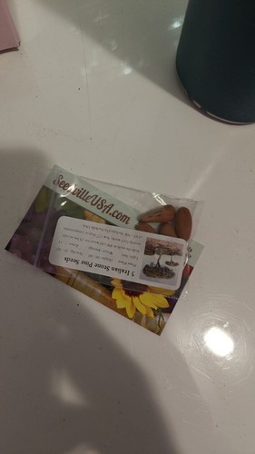 Artikelfoto(s) von einem verifizierten Käufer