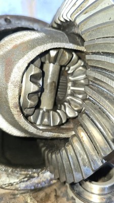 Fotos del artículo de un comprador verificado