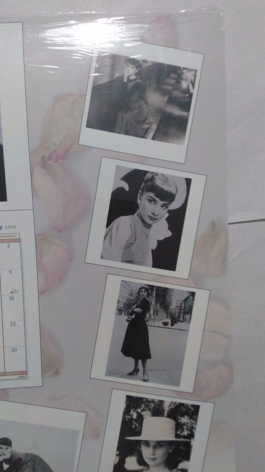 Audrey Hepburn 1999 calendar sealed