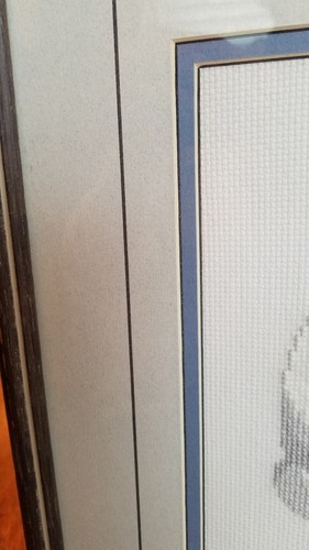 Finished.Completed Gray White Kitten CAT Cross Stitch Professionally Framed