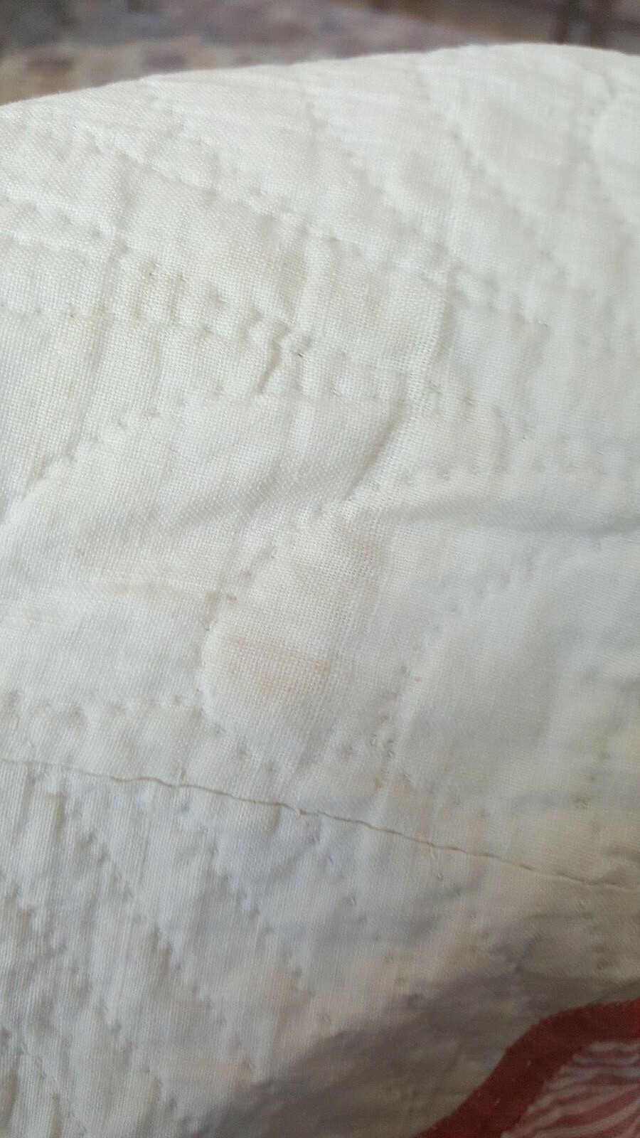 Antique Rose of Sharon Quilt