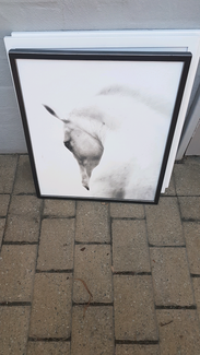 Perth Region, WA Antiques, Art &amp; Collectables Gumtree 