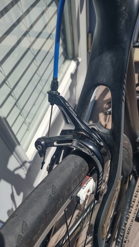 Specialized Roubaix Elite Carbon Bike