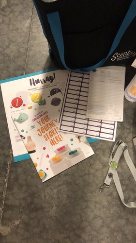 Scentsy Starter Kit + 100 TESTERS!!!