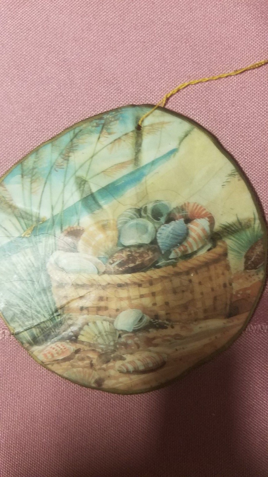 The Sand Dollar w/ Stand Hand Painted