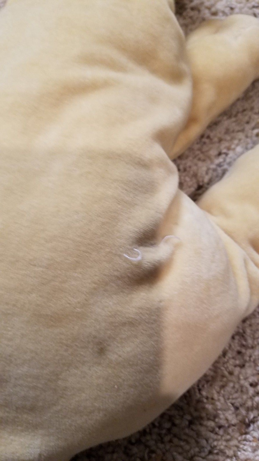 Vintage  Large 1985 Tonka Pound Puppies Puppy Tan 18