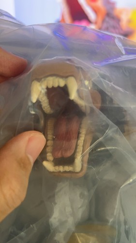 Fotos del artículo de un comprador verificado