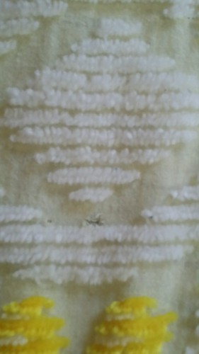 vTg White Yellow Flower Daisy Floral Chenille Bedspread Fringe Blanket