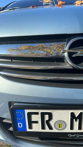 Foto dell'oggetto di un acquirente verificato