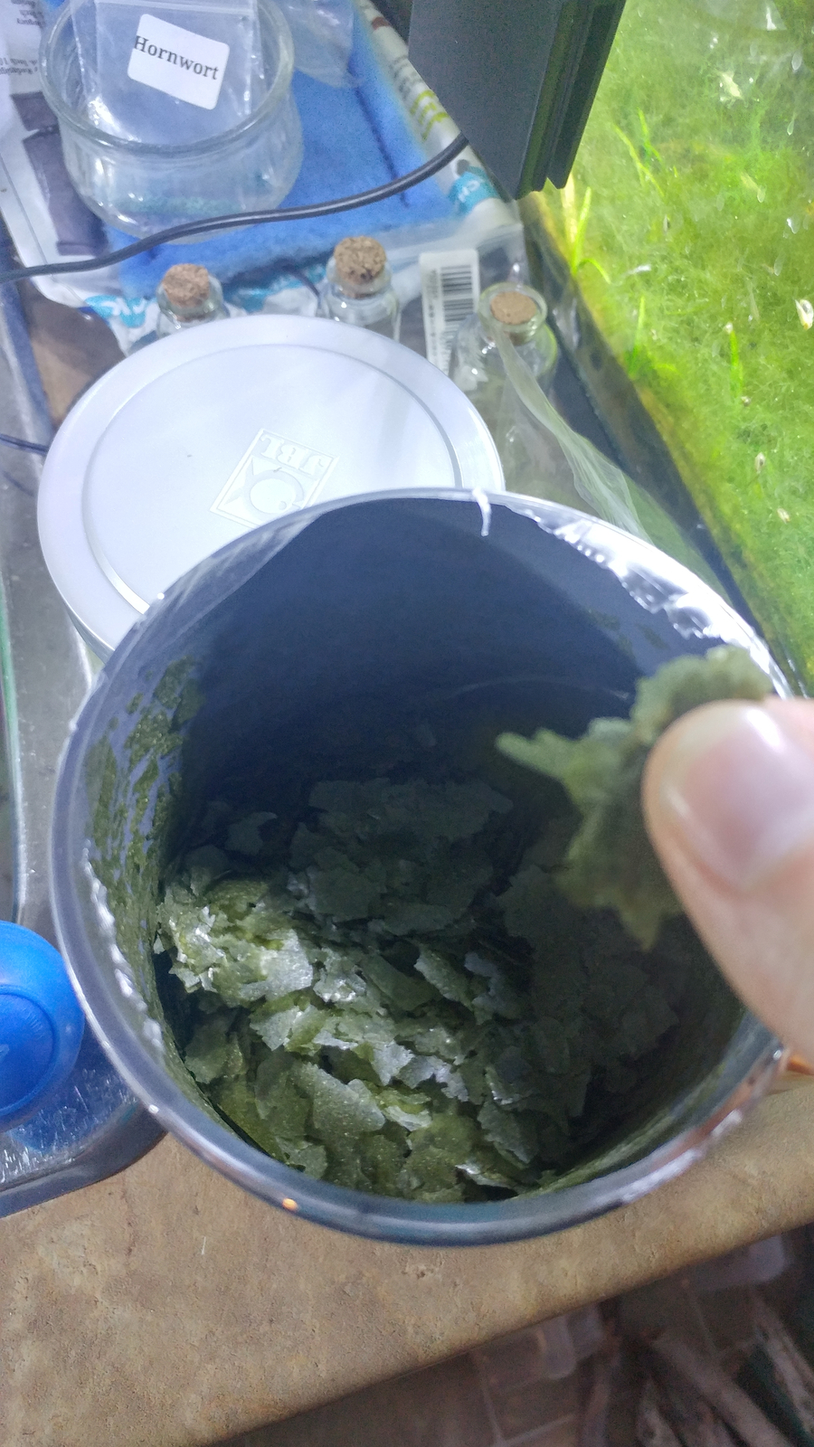 JBL Spirulina Algae Flake Food 1L for Herbivore Fish Healthy Aquarium