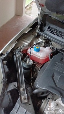 Foto dell'oggetto di un acquirente verificato