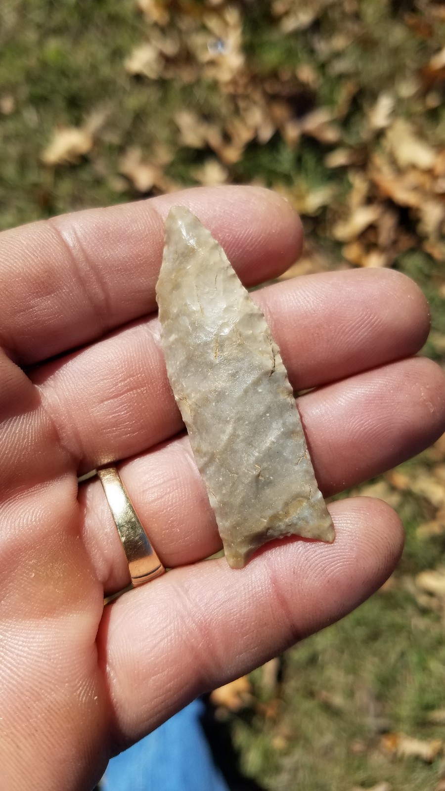 ARROWHEAD- Huge 2 5/16