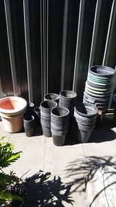 used garden plastic pots, 200mm/250mm/300mm from 50c each | Pots