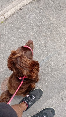 Artikelfoto(s) von einem verifizierten Käufer